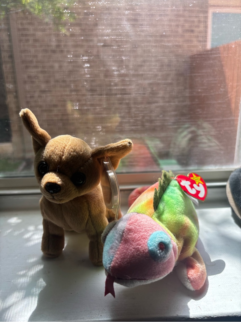 TY Beanie Baby Multicolor Chameleon Plush and TINY Chihuahua